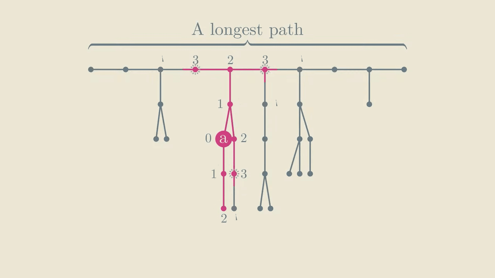 Math video: How to Use Beads and Strings to Find the Diameter of a Tree