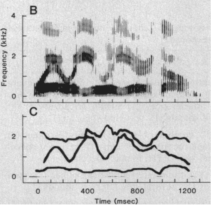 Fig.1 from Remez et al.